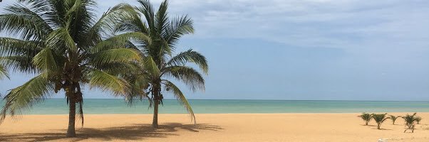 MChappey's profile banner image