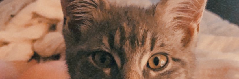 MarleeRochester's profile banner image