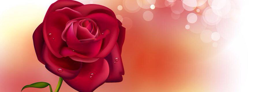 4kim11569's profile banner image