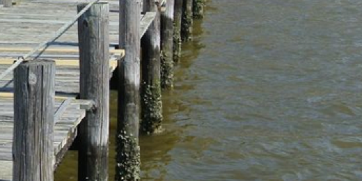 Waters4theWater's profile banner image