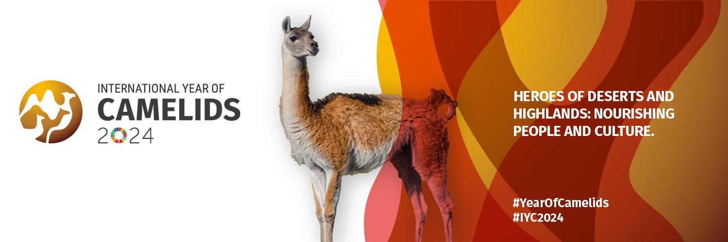 aoiferoma's profile banner image
