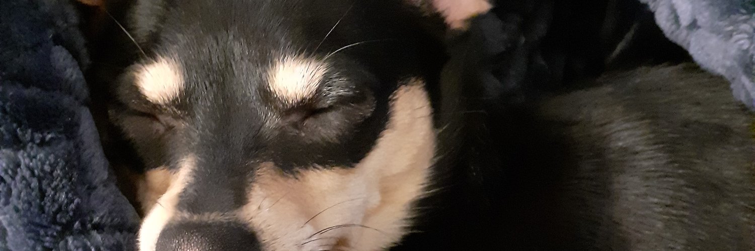 Lottiedah5's profile banner image