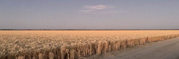GusWhyte Profile Banner