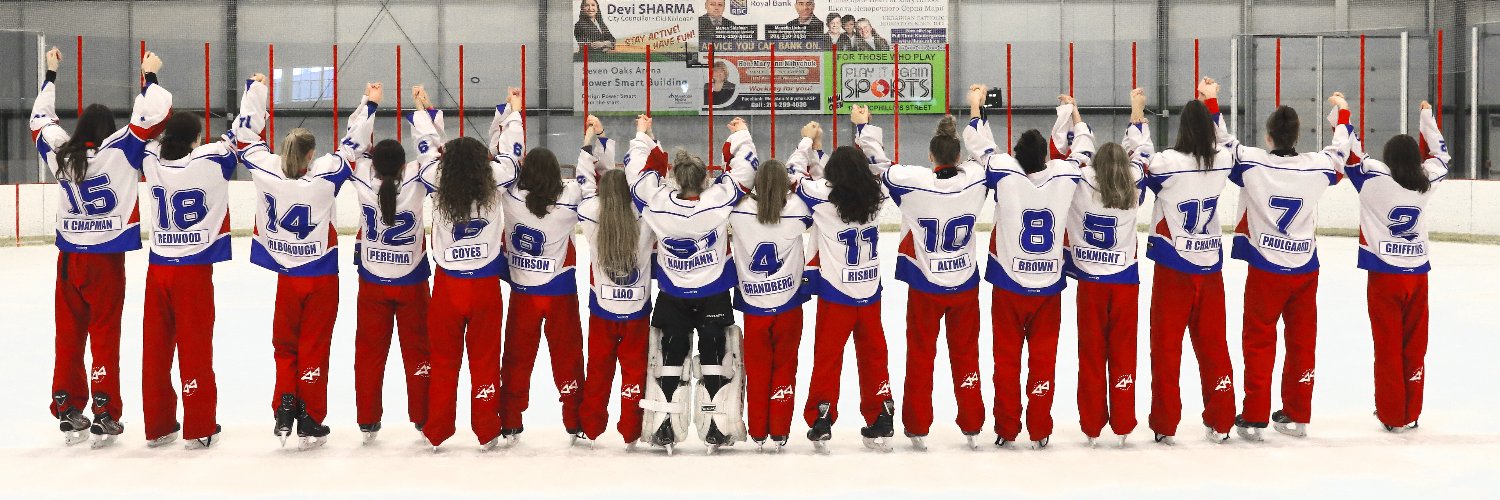 Calgary AA Ringette banner