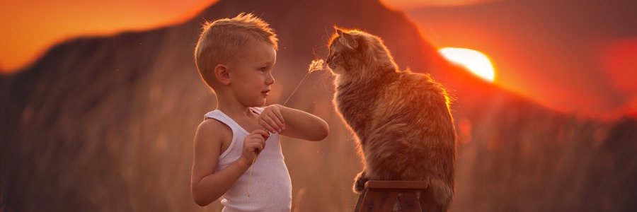 mayito7607's profile banner image