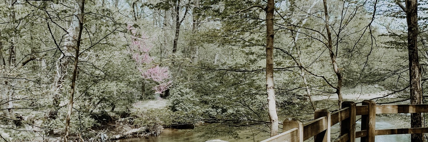 jessrsauer's profile banner image