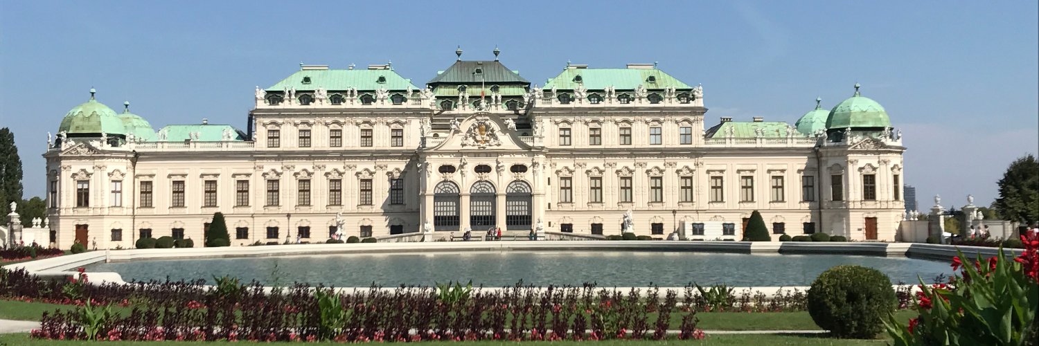 viennanavi's profile banner image