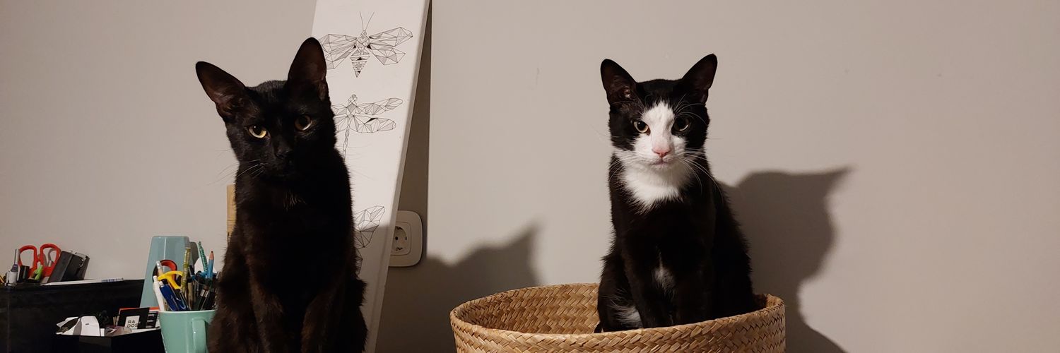 Bombbier 🏴󠁧󠁢󠁥󠁮󠁧󠁿🌶 banner