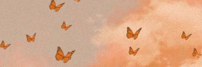 d_creed13's profile banner image