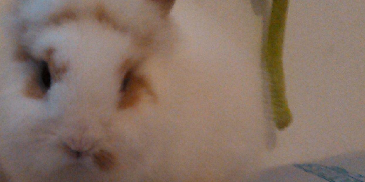 MarisaMancera16's profile banner image