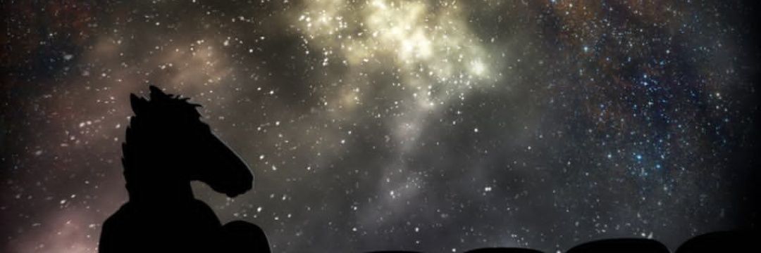 MferMfer's profile banner image