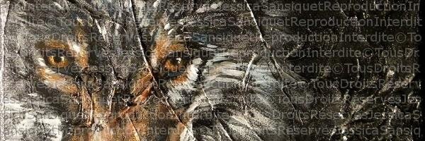 Sialukk's profile banner image