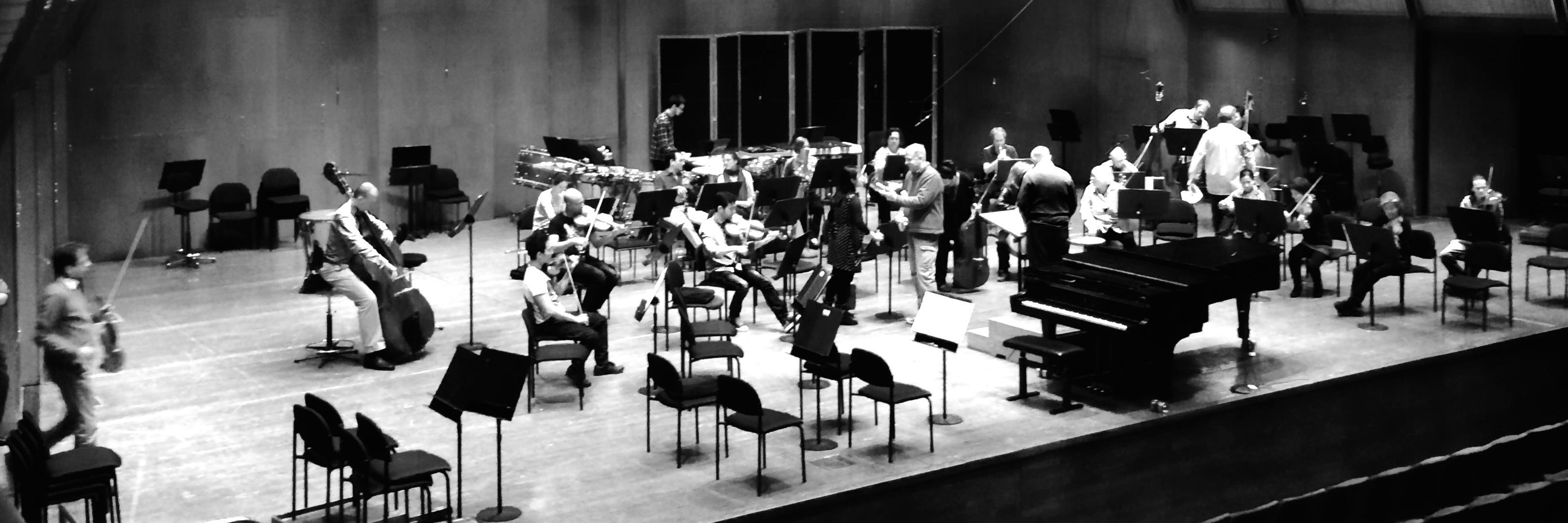 Live Music Project banner