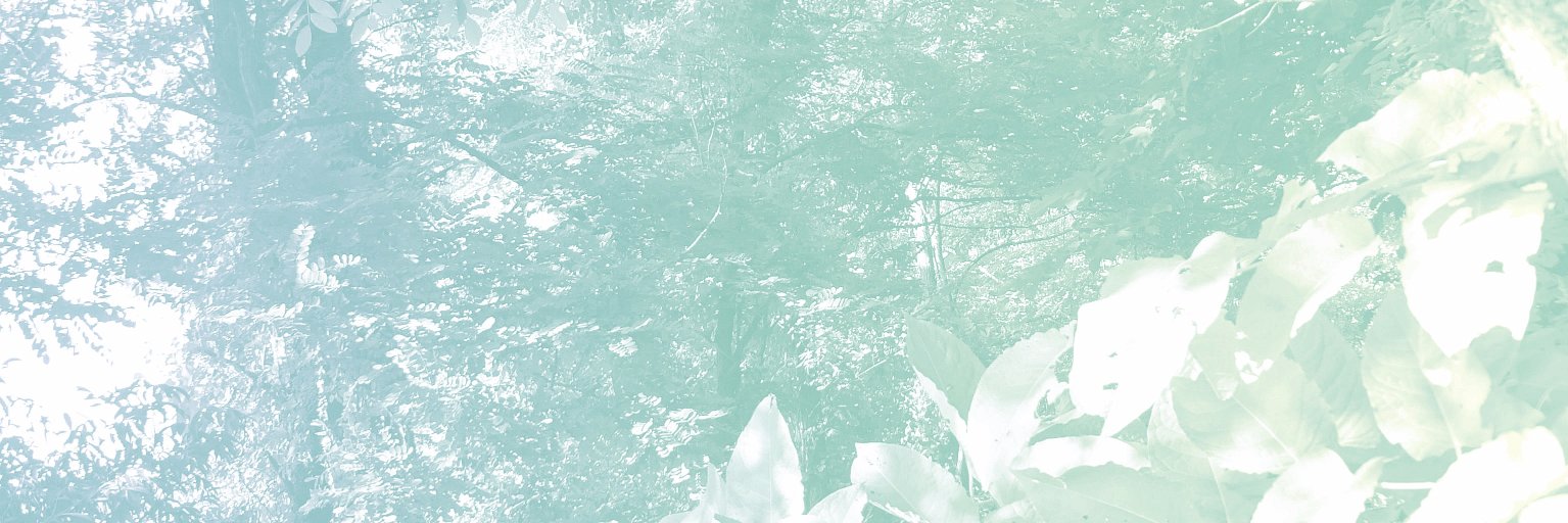 1010ri10's profile banner image