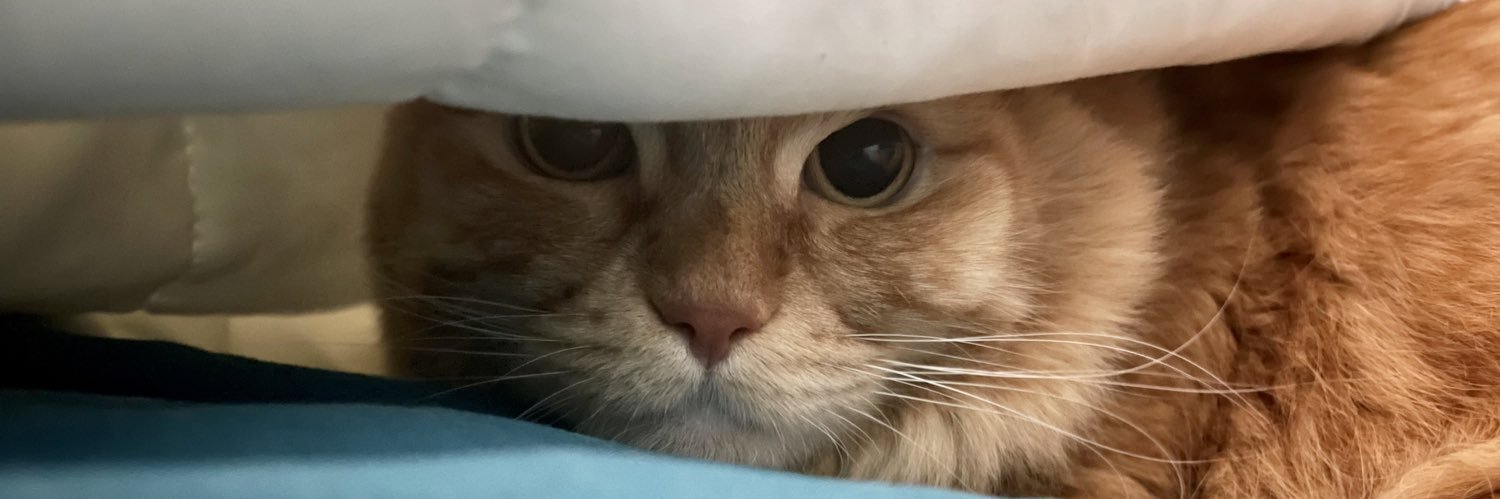 TallERNurse's profile banner image
