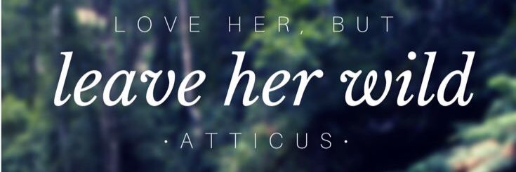 RJaimelynn's profile banner image