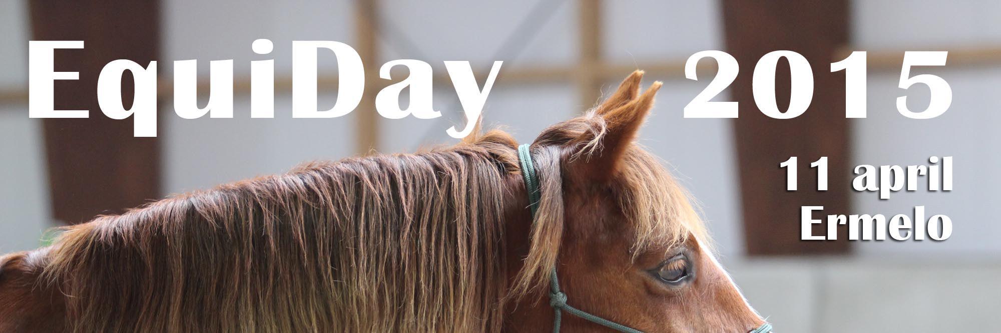 EquiDay's profile banner image
