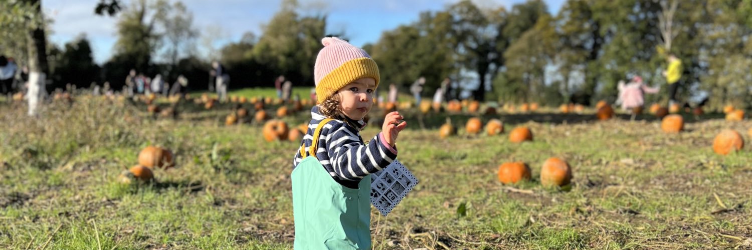 Jim Mc Eneaney banner
