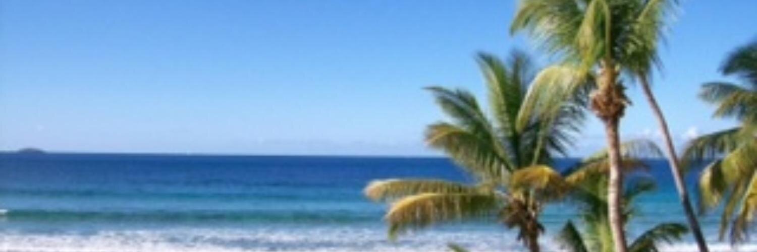 LeaSoliant's profile banner image