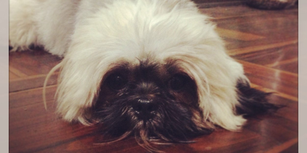 marielda23's profile banner image