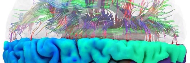 Neuronnial's profile banner image