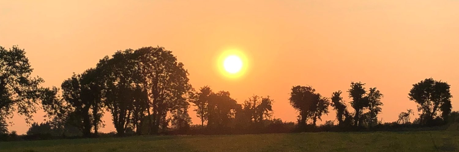 BHeneghan5's profile banner image