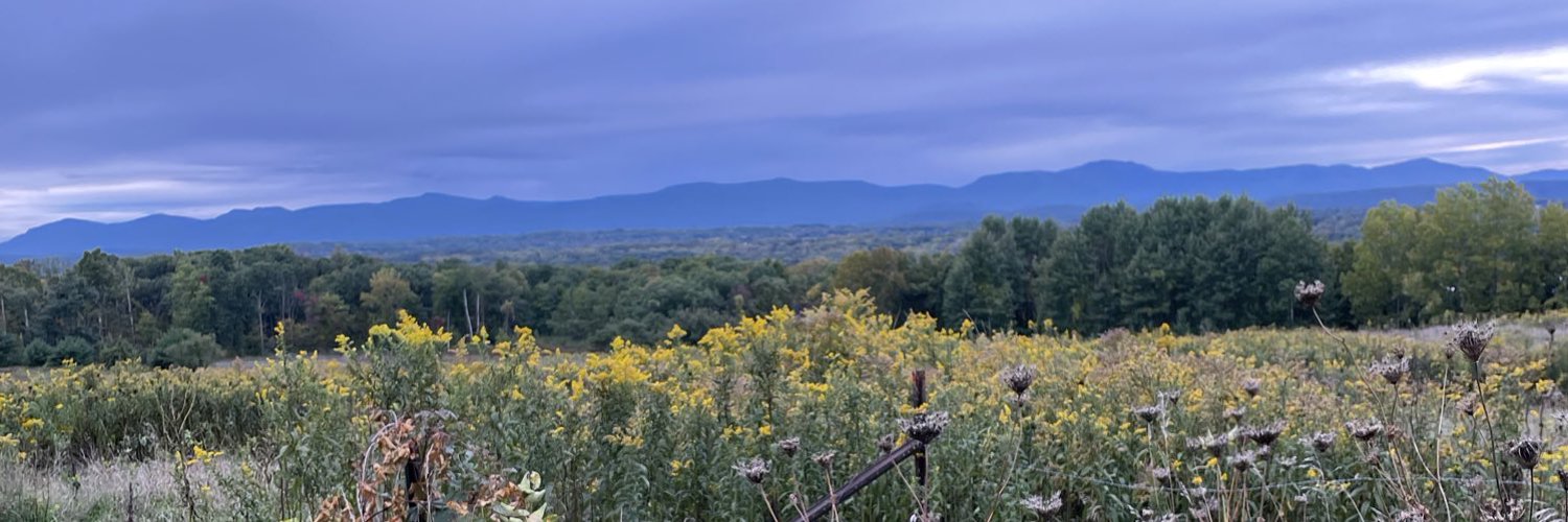 Mike Schade Profile Banner