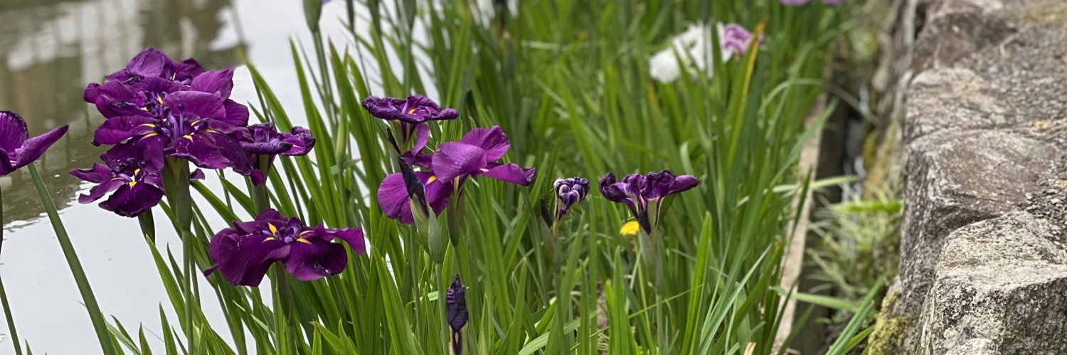 からくり箱（たらこ） banner