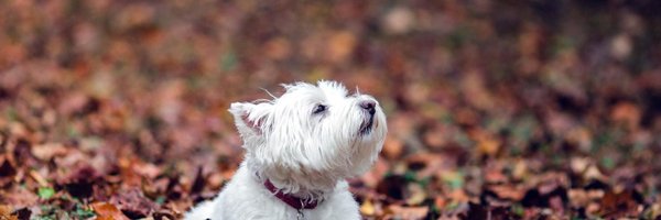 bits_iserlohn Profile Banner