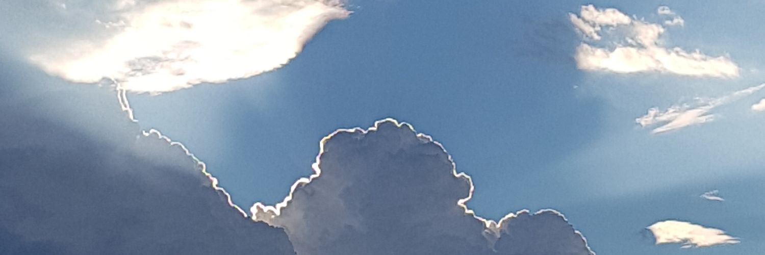 michael binzen🏡 🇺🇦 banner