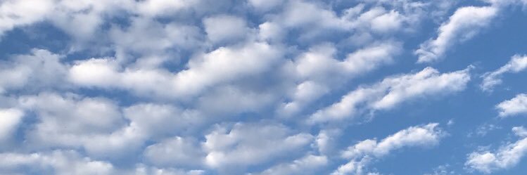 EverettNeale's profile banner image