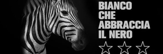 annammichael's profile banner image