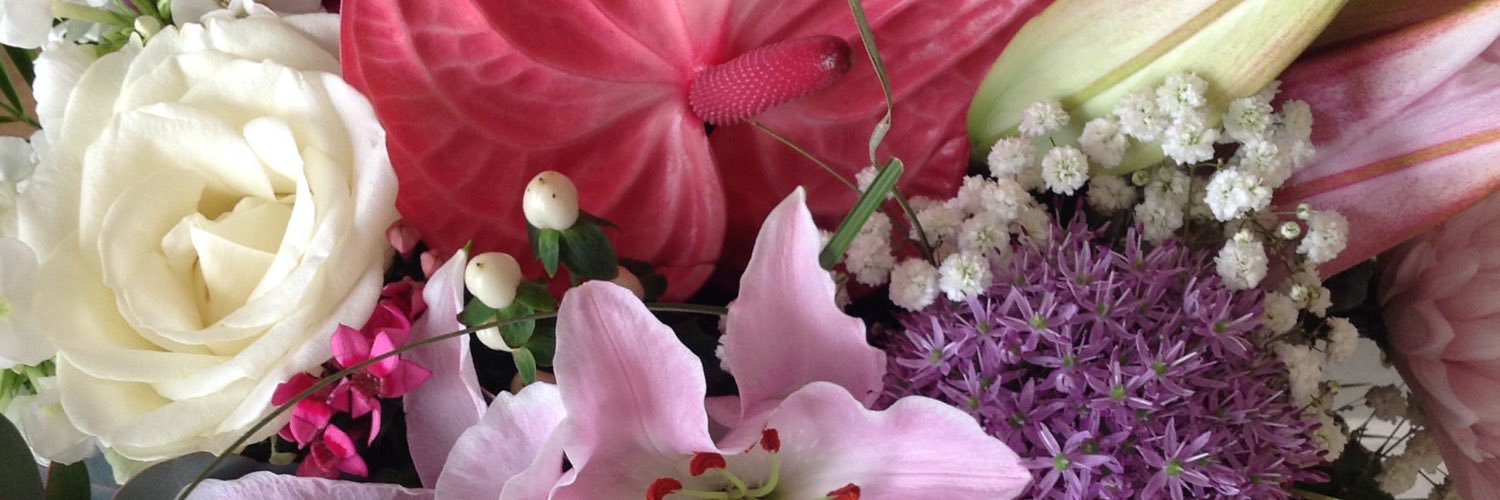 EveandFrancesca's profile banner image
