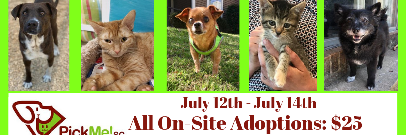Pawmetto Lifeline banner