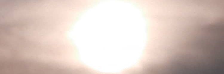 ezebees's profile banner image