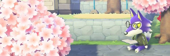 SmithSWHC's profile banner image