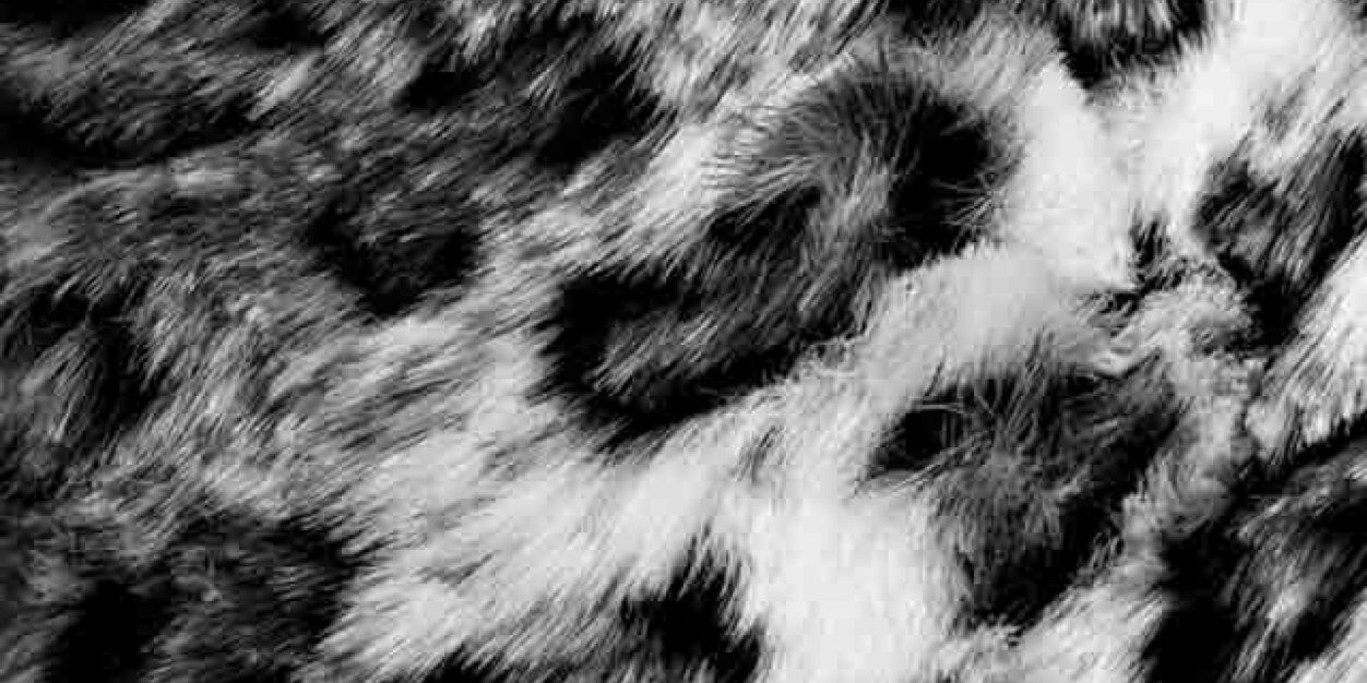 eddiencindy's profile banner image