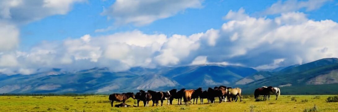 baterdene_j's profile banner image