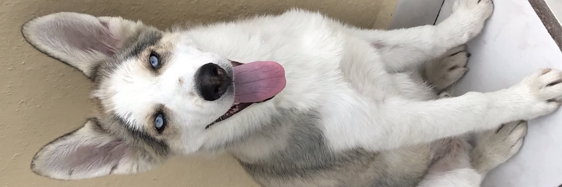 kikecoah's profile banner image