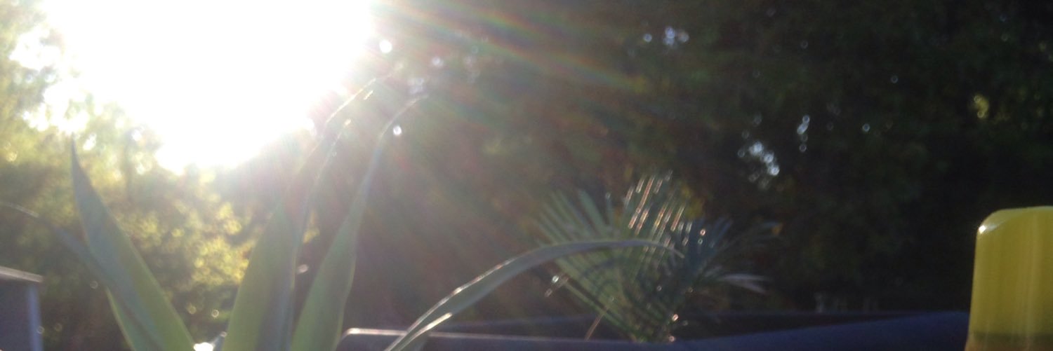 PZThunder's profile banner image