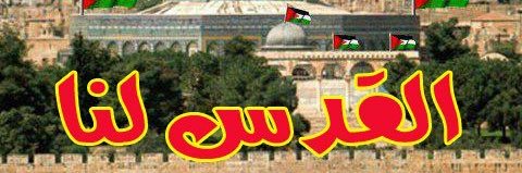 taher201652's profile banner image