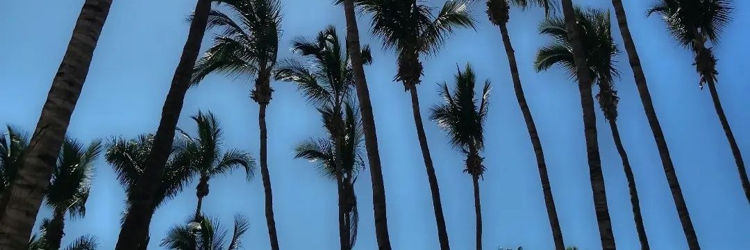 Missaelmtzc's profile banner image