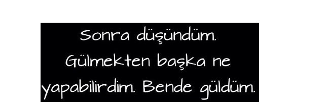 ceyda_tuncay's profile banner image