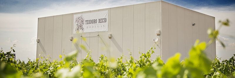 bodegasteodoro's profile banner image