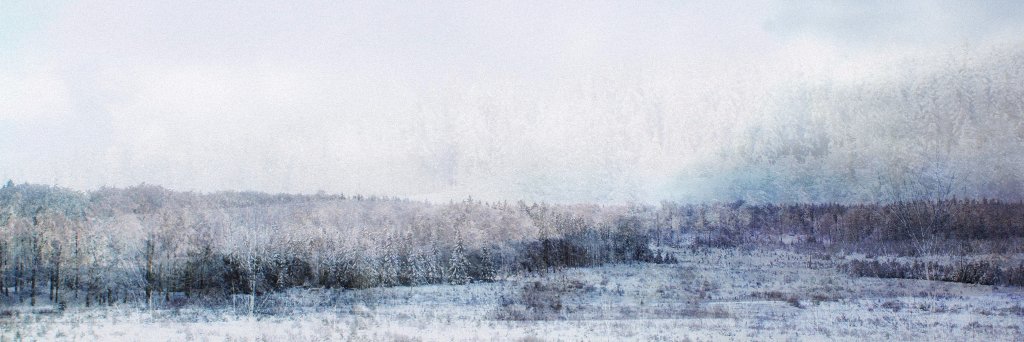 KingsofEdelgran's profile banner image