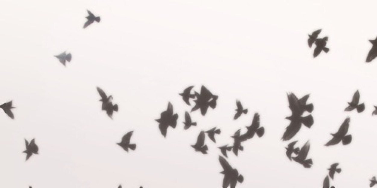 effeczts's profile banner image