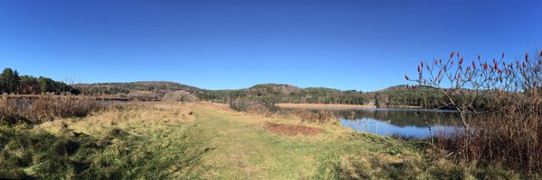 lisacarlucci Profile Banner
