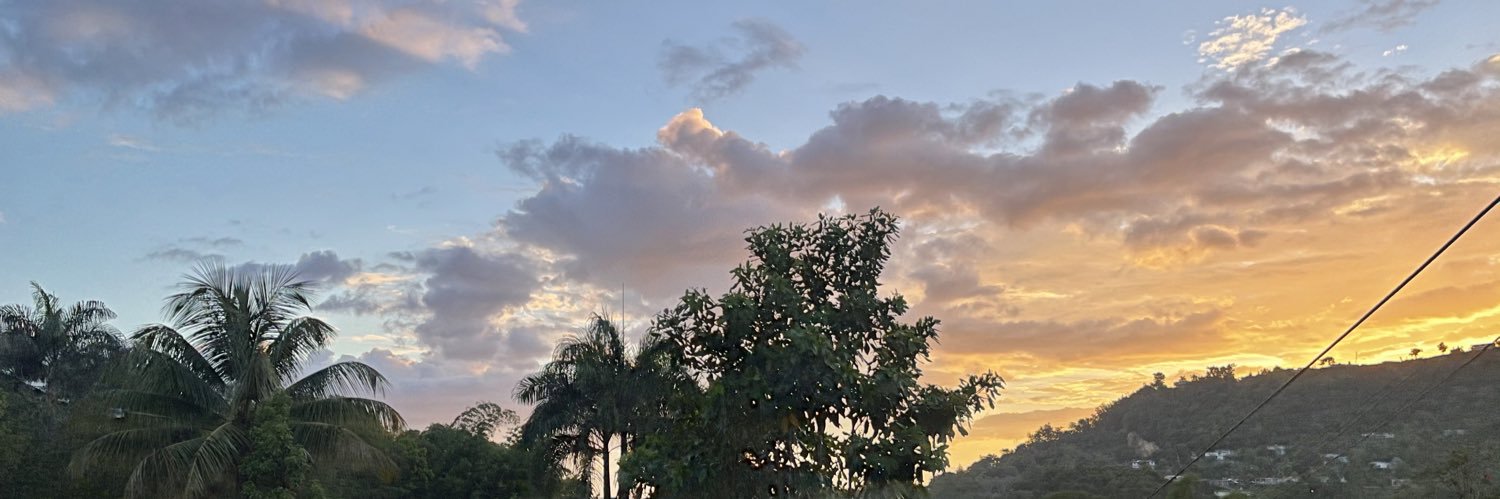 Ram in the Bush 🐏 banner