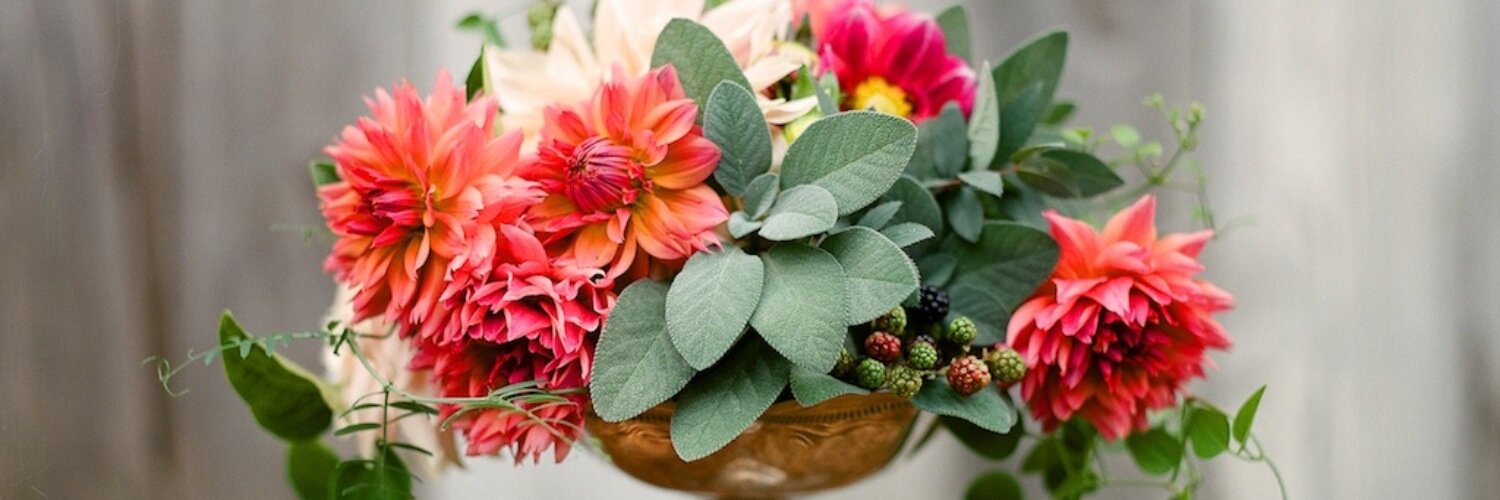 claredayflowers's profile banner image
