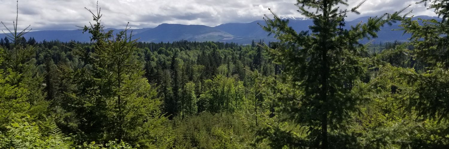 ArleneKeis's profile banner image